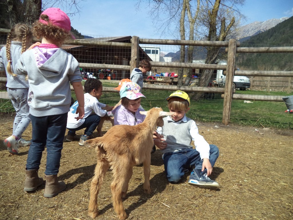 Bambini con gli animali alla fattoria didattica